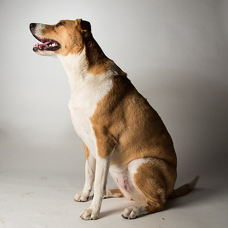 2571-160