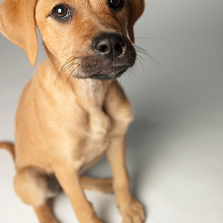 2248-131