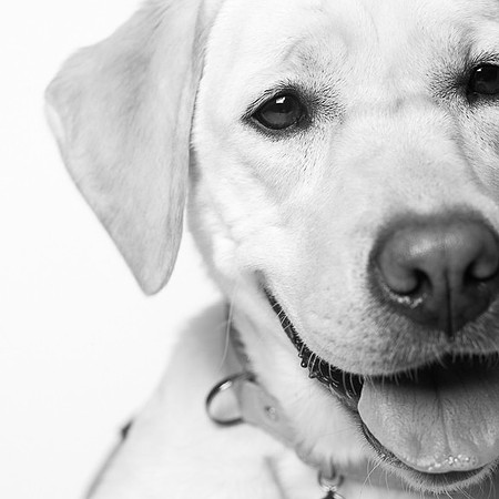 multiple