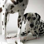 Matilda &amp; Willamina