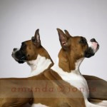 Winston &amp; Lola