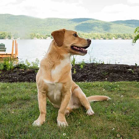 2683-120