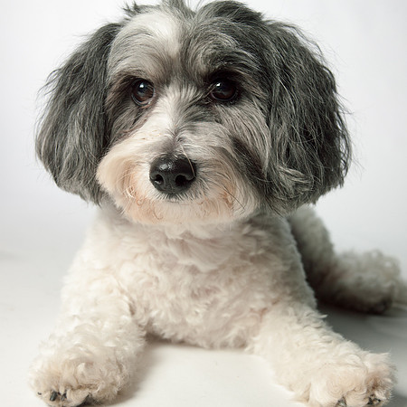 2337-547
