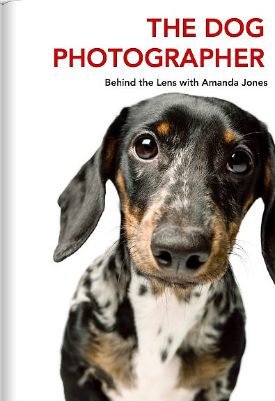 The Dog Photographer