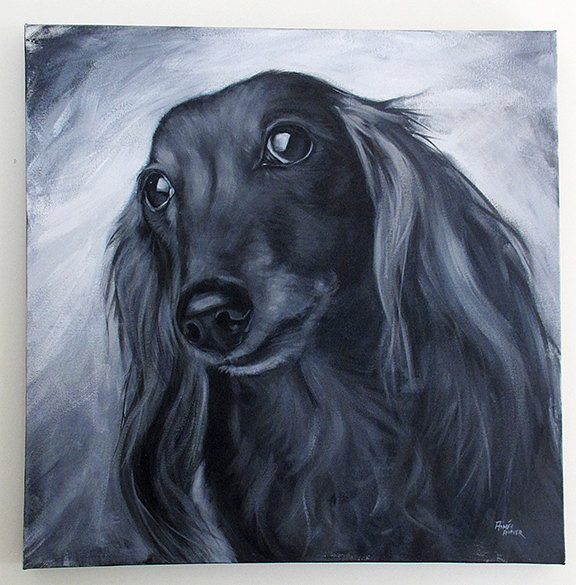 Lazza by Aimee Hoover