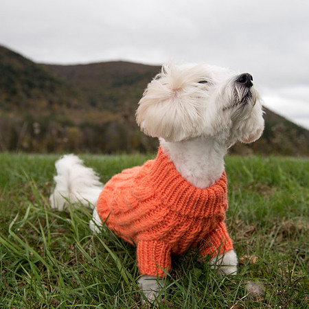 2632-104