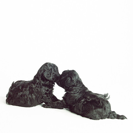 2638-165