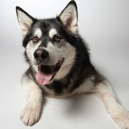 2422-185