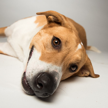 2571-200